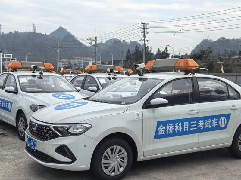 杭州软件开发:构建数字城市的智能脉络
